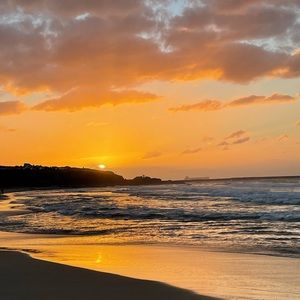 Meet your Posher, Annette